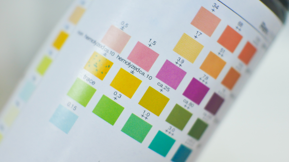 Webデザインにおける色の役割とは？色彩が与えるイメージと心理効果を解説